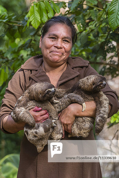 Eine Frau mit ihrem Haustier  dem Braunkehlfaultier (Bradypus variegatus)  Dorf San Francisco  Loreto  Peru  Südamerika