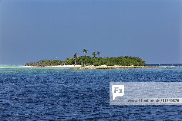 Insel Madivaru  Rasdhoo-Atoll  Malediven  Indischer Ozean  Asien