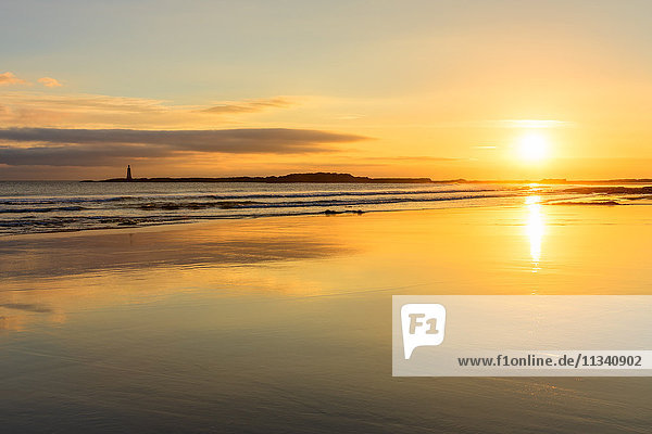 Sonnenaufgang am Seacliff Beach  East Lothian  Schottland  Vereinigtes Königreich  Europa