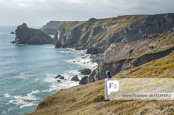 Eine Frau blickt auf die dramatische Küste Cornwalls in der Nähe von Kynance Cove auf der Lizard-Halbinsel  Cornwall  England  Vereinigtes Königreich  Europa