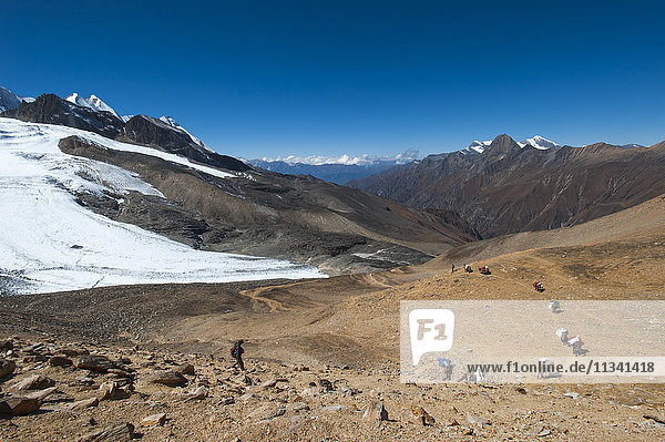Mules and trekkers descend the Kagmara La  the highest point in the Kagmara valley at 5115m in Dolpa  a remote region of Nepal  Himalayas  Asia