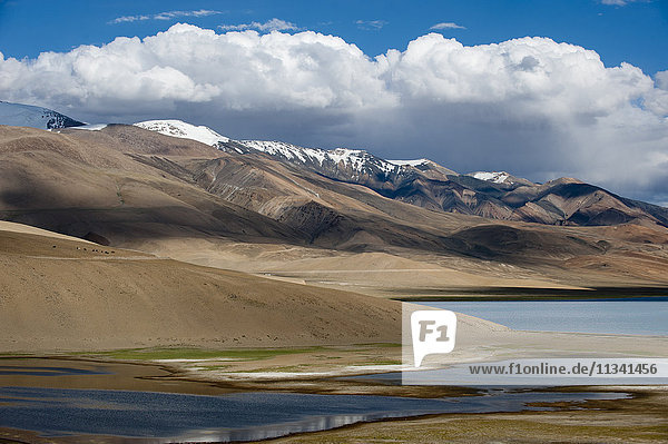 Tso Moriri See auf 4595m Höhe  Ladakh  Himalaya  Nordindien  Asien