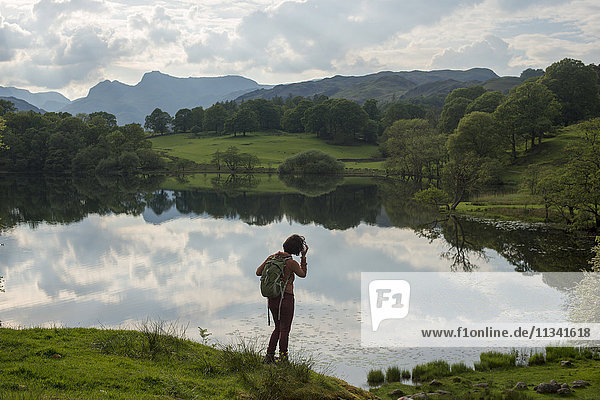A woman looks out over Tarn Foot  Lake District National Park  Cumbria  England  United Kingdom  Europe