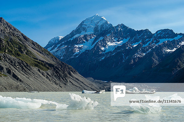Icebergs float in a cold lake with a large snow covered mountain  South Island  New Zealand  Pacific