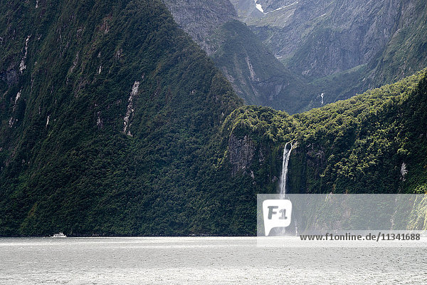 A sightseeing ship dwarfed by a tall waterfall in a fjord  South Island  New Zealand  Pacific