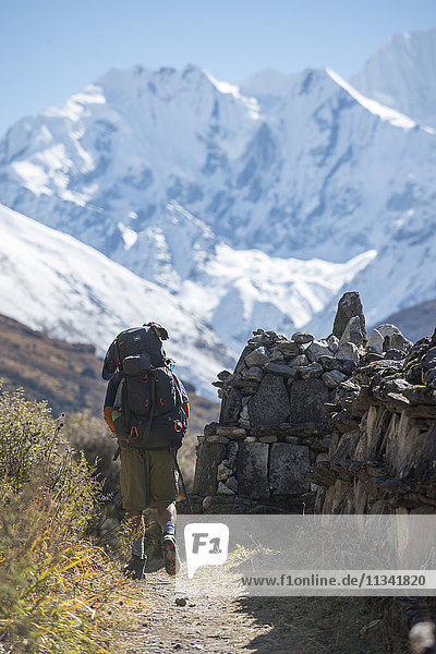 Hiking past a traditional Mani stone wall in the Langtang Valley with views of Ganchempo in the distance  Langtang Region  Himalayas  Nepal  Asia