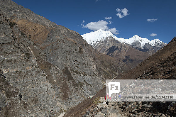 Trekking in the Kagmara Valley in the remote Dolpa region  Himalayas  Nepal  Asia