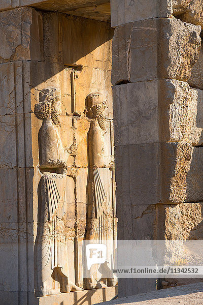 Geschnitztes Relief der königlichen persischen Garde  Persepolis  UNESCO-Weltkulturerbe  Iran  Naher Osten