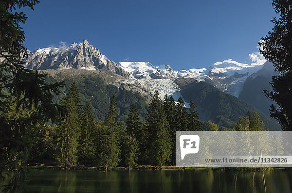Aiguile du Midi und Mont Blanc  4809m  und die Gletscher  vom See aus  Chamonix  Haute Savoie  Französische Alpen  Frankreich  Europa