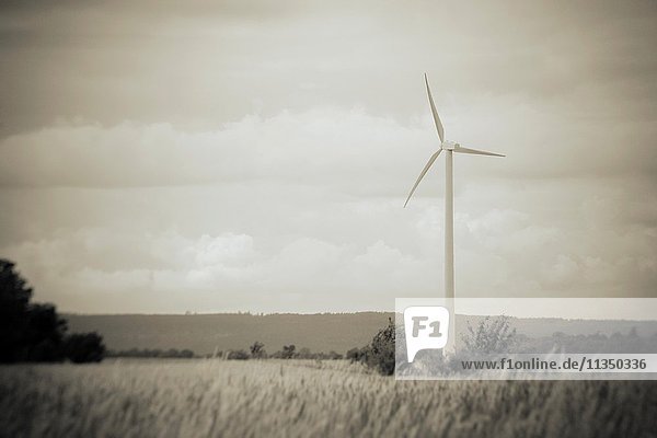 Wind power turbine and rural landscape in black and white. Sky with copy space. Concept of sustainable energy and production of electricity.