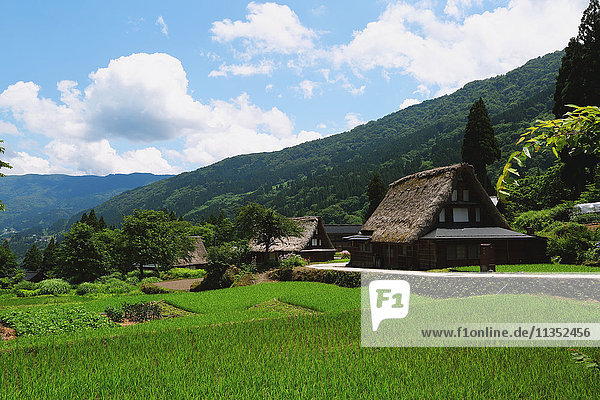 Traditional Japanese village in Gokayama  Toyama Prefecture  Japan