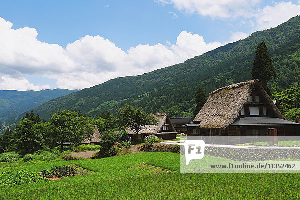 Traditionelles japanisches Dorf in Gokayama  Präfektur Toyama  Japan