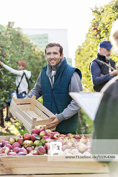 Portrait lächelnder Bauer beim Entleeren der geernteten roten Äpfel in den Mülleimer im Obstgarten
