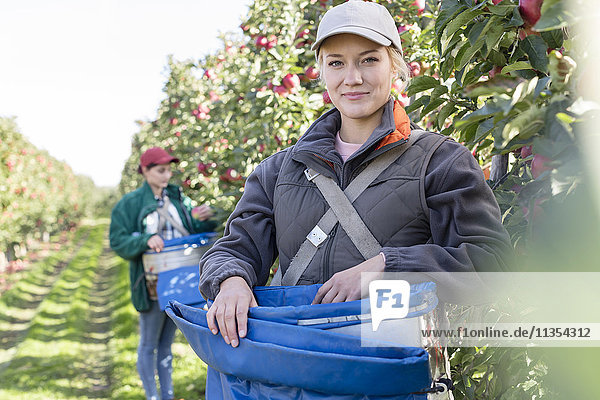 Porträt einer lächelnden Bäuerin bei der Apfelernte im Obstgarten