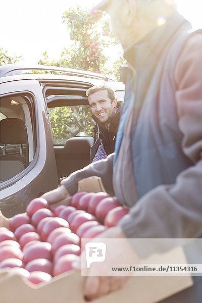 Männliche Bauern beim Verladen roter Äpfel ins Auto im sonnigen Obstgarten