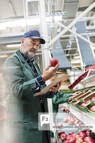 Manager mit Zwischenablage zur Inspektion von roten Äpfeln in der Lebensmittelverarbeitung