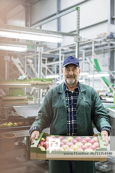 Porträt eines lächelnden Arbeiters,  der eine Schachtel Äpfel in einem Lebensmittelbetrieb trägt.