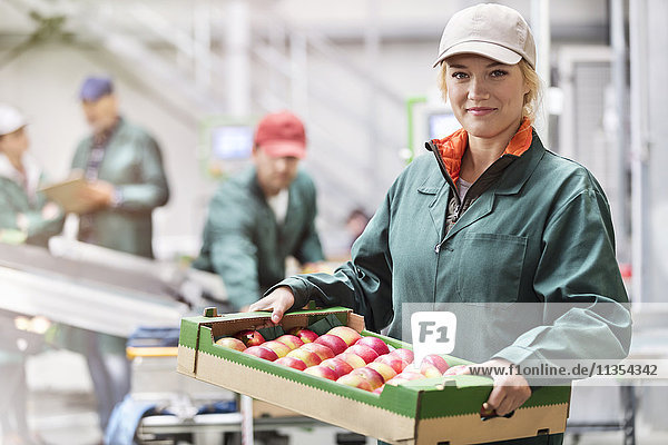 Porträt einer selbstbewussten Arbeiterin  die eine Schachtel Äpfel in einem Lebensmittelbetrieb trägt.