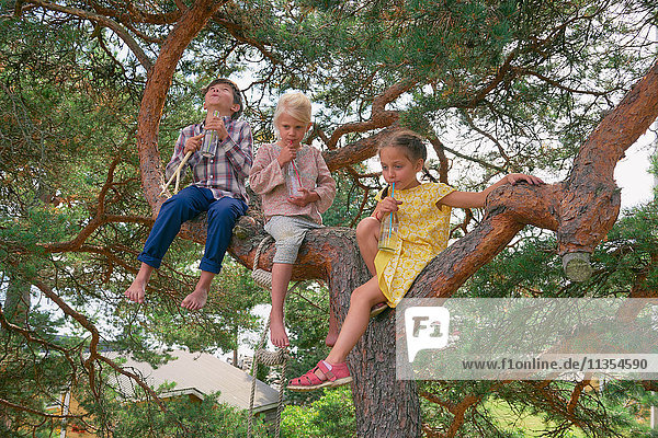 Group of young friends sitting in tree  drinking bottled drinks