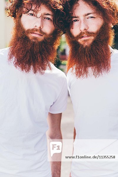 Porträt junger männlicher Hipster-Zwillinge mit roten Bärten und weißen T-Shirts