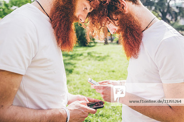 Junge männliche Hipster-Zwillinge mit roten Bärten gegenüber  die sich auf Smartphones texten