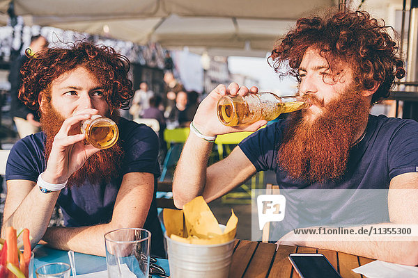 Junge männliche Hipster-Zwillinge mit roten Haaren und Bärten  die Bier an der Bar trinken.