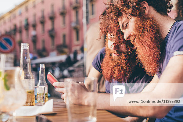 Junge männliche Hipster-Zwillinge mit roten Haaren und Bärten beim Lesen von Smartphone-Texten an der Bürgersteigbar.