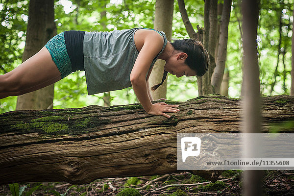 Mittlere erwachsene Frau  die im Wald trainiert und Liegestützen auf einem Baumstamm macht