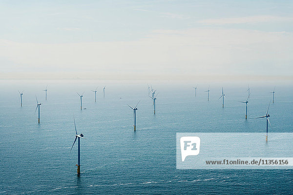 Luftaufnahme eines Offshore-Windparks vor der niederländischen Küste  IJmuiden  Nordholland  Niederlande