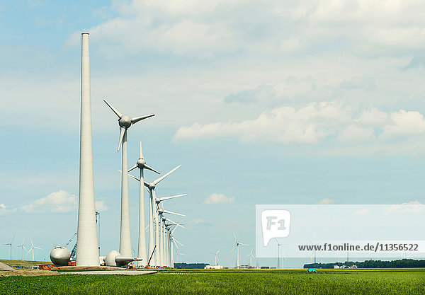 Windturbinen im Windpark  Espel  Flevopolder  Niederlande
