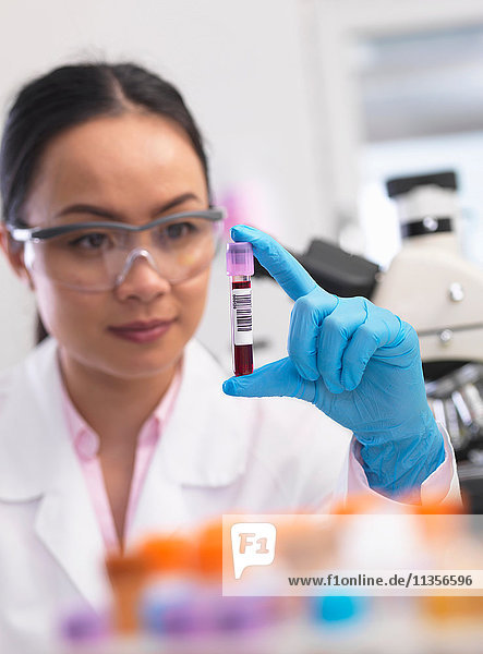 Wissenschaftler der klinische Proben für medizinische Tests in einem Labor vorbereitet
