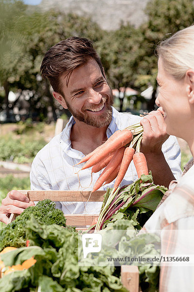 Reifes Ehepaar hält Kiste mit frischem Gemüse im Garten