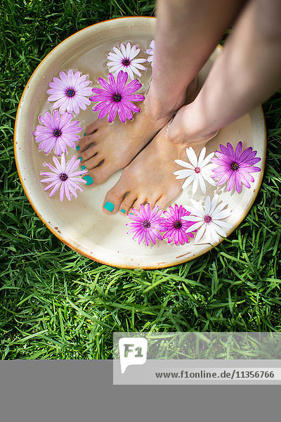 Die Füße einer jungen Frau in einer Schale mit Blumenwasser auf dem Rasen