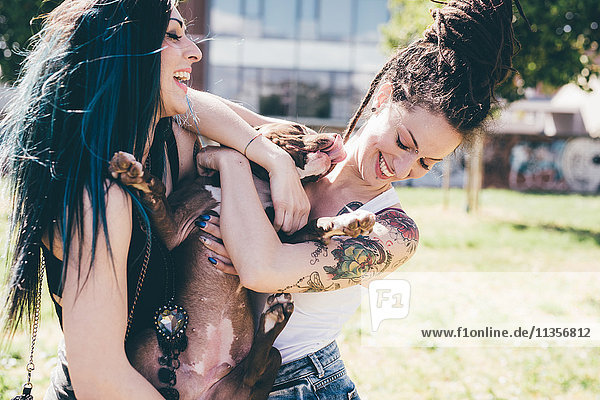 Pitbull Terrier leckt junge Frauen im Stadtpark
