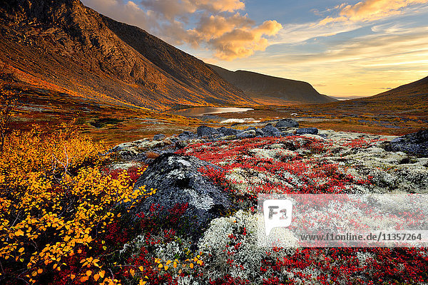 Herbstfarbiges Tal und Fluss Malaya Belaja  Khibiny-Gebirge  Kola-Halbinsel  Russland