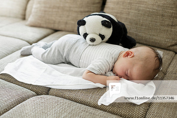 Kleiner Junge schläft auf Sofa mit Spielzeugpanda