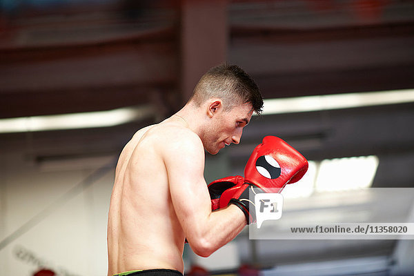 Boxer beim Training im Boxring