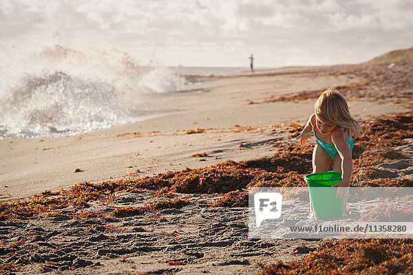 Mädchen spielt mit Spielzeugkübel am windigen Strand,  Blowing Rocks Preserve,  Jupiter Island,  Florida,  USA