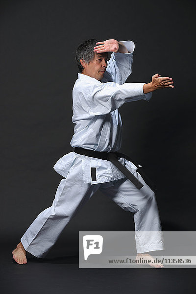Japanische Karatemeisterausbildung