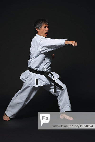 Japanische Karatemeisterausbildung