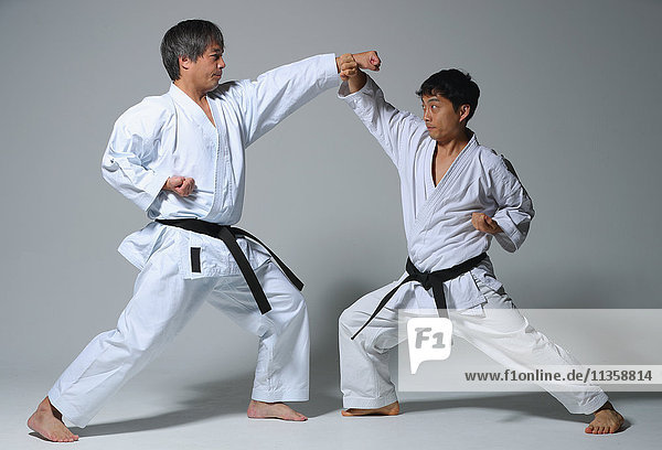 Japanische Karatemeister kämpfen