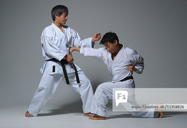Japanese karate masters fighting