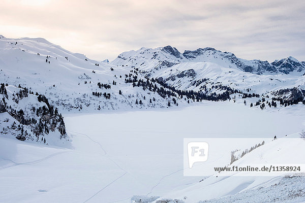 Schneebedecktes Bergtal  Engelberg  Titlis  Schweiz