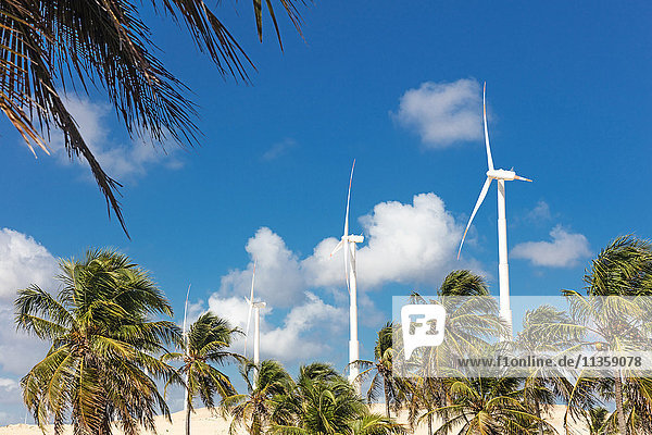 Windpark  Taiba  Ceará  Brasilien
