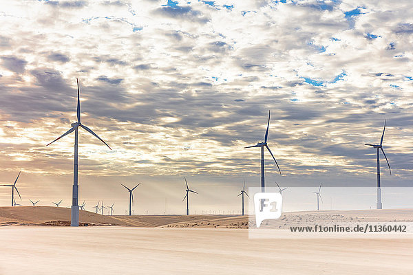 Windturbinen in Wüstenlandschaft  Taiba  Ceara  Brasilien
