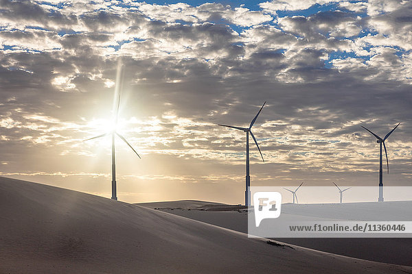Windturbinen in Wüstenlandschaft bei Sonnenuntergang  Taiba  Ceara  Brasilien