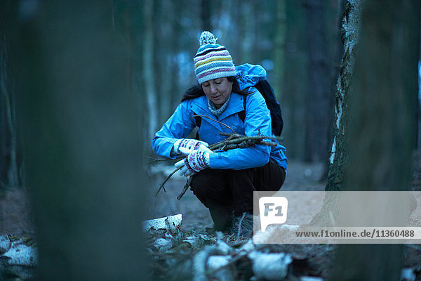 Weibliche Wanderin sammelt Zweige im Wald