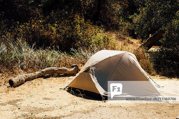 Zelt am umgestürzten Baum  Malibu Canyon  Kalifornien  USA