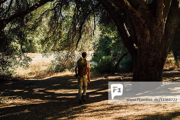 Hiker in shadow of tree  Malibu Canyon  California  USA