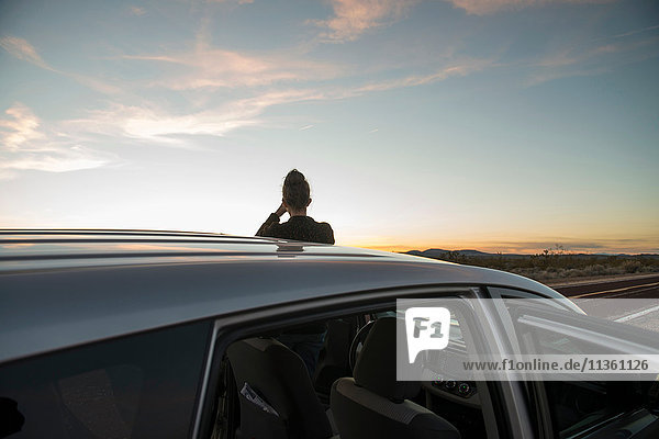 Rückansicht einer silhouettierten Frau beim Sonnenuntergang  Mojave-Wüste  Kalifornien  USA